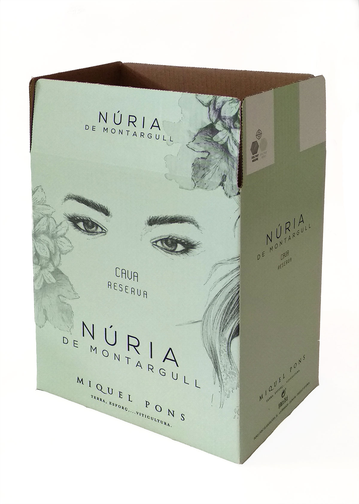 Carboard box Núria Montargull