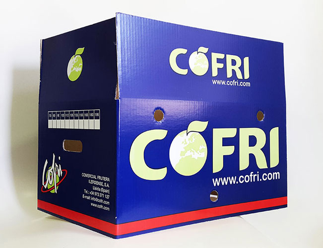 Caja cartón Cofri